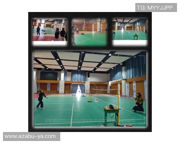 羽毛球深度：解密南京羽毛球队的区域防守